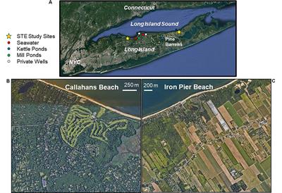 Investigating Boron Isotopes for Identifying Nitrogen Sources Supplied by Submarine Groundwater Discharge to Coastal Waters